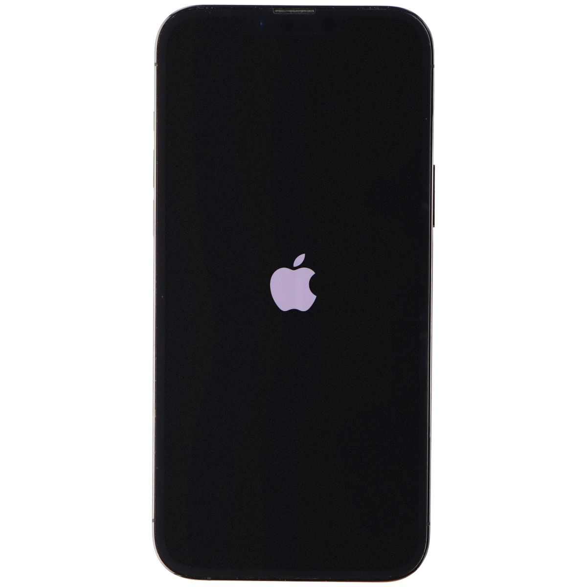 iPhone 13 Pro Max (A2484) - Standart 3