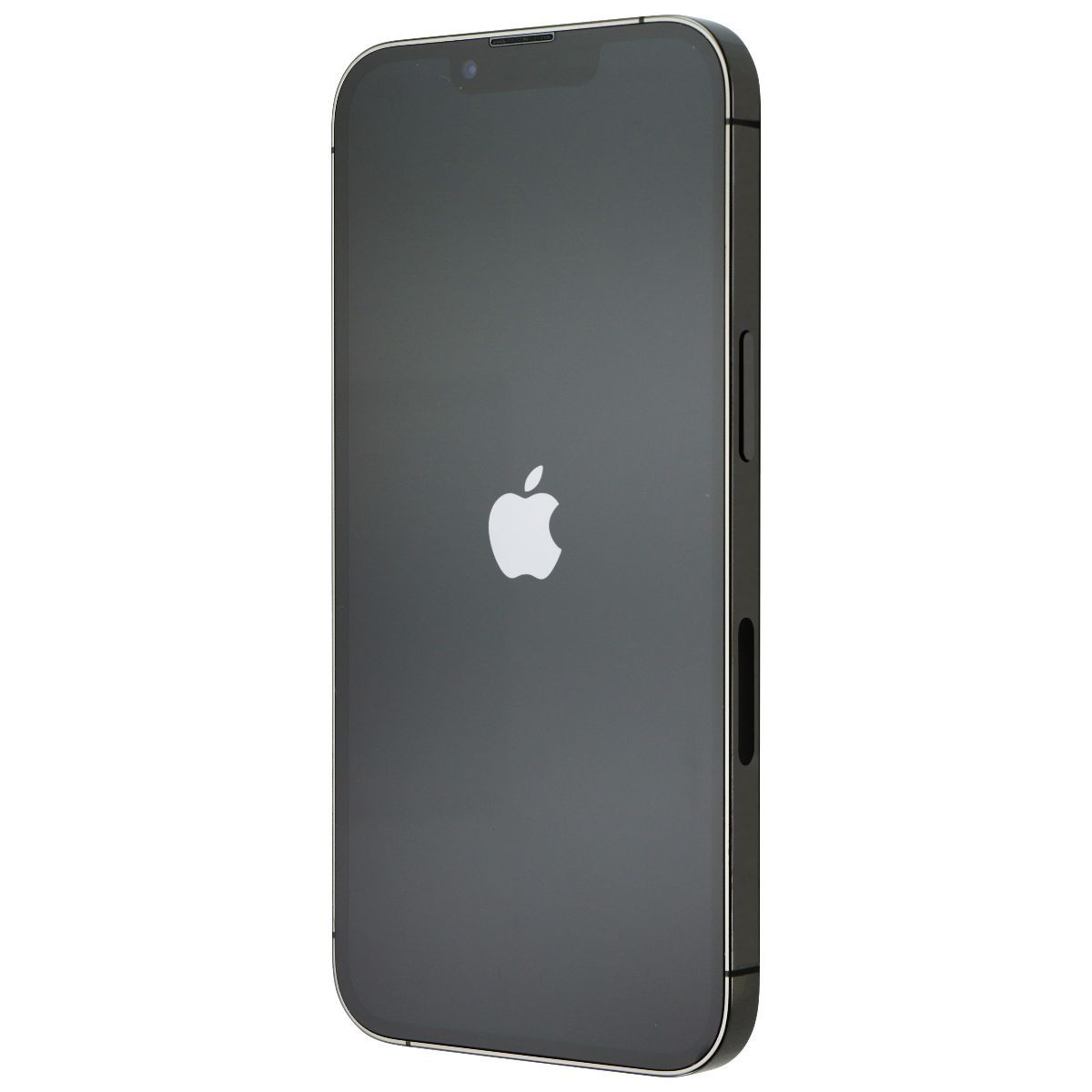 iPhone 13 Pro (A2483) - Standart 2