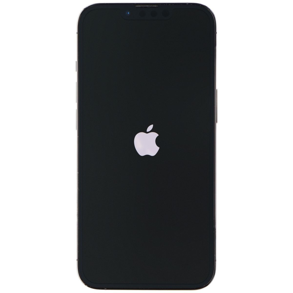 iPhone 13 Pro (A2483) - Standart 3