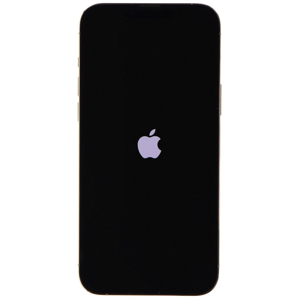 iPhone 13 Pro Max (A2484) - Standart 4