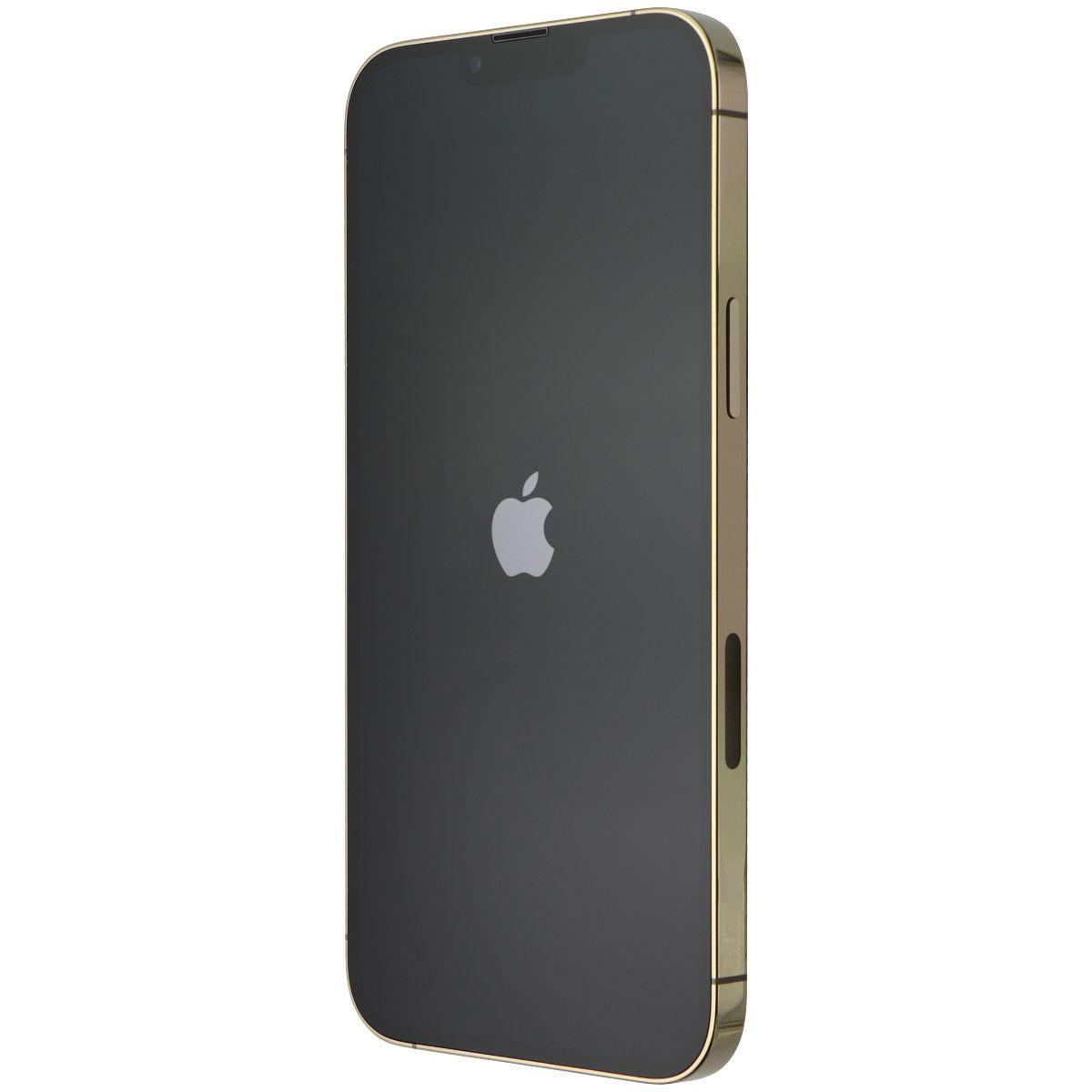 iPhone 13 Pro Max (A2484) - Standart 2