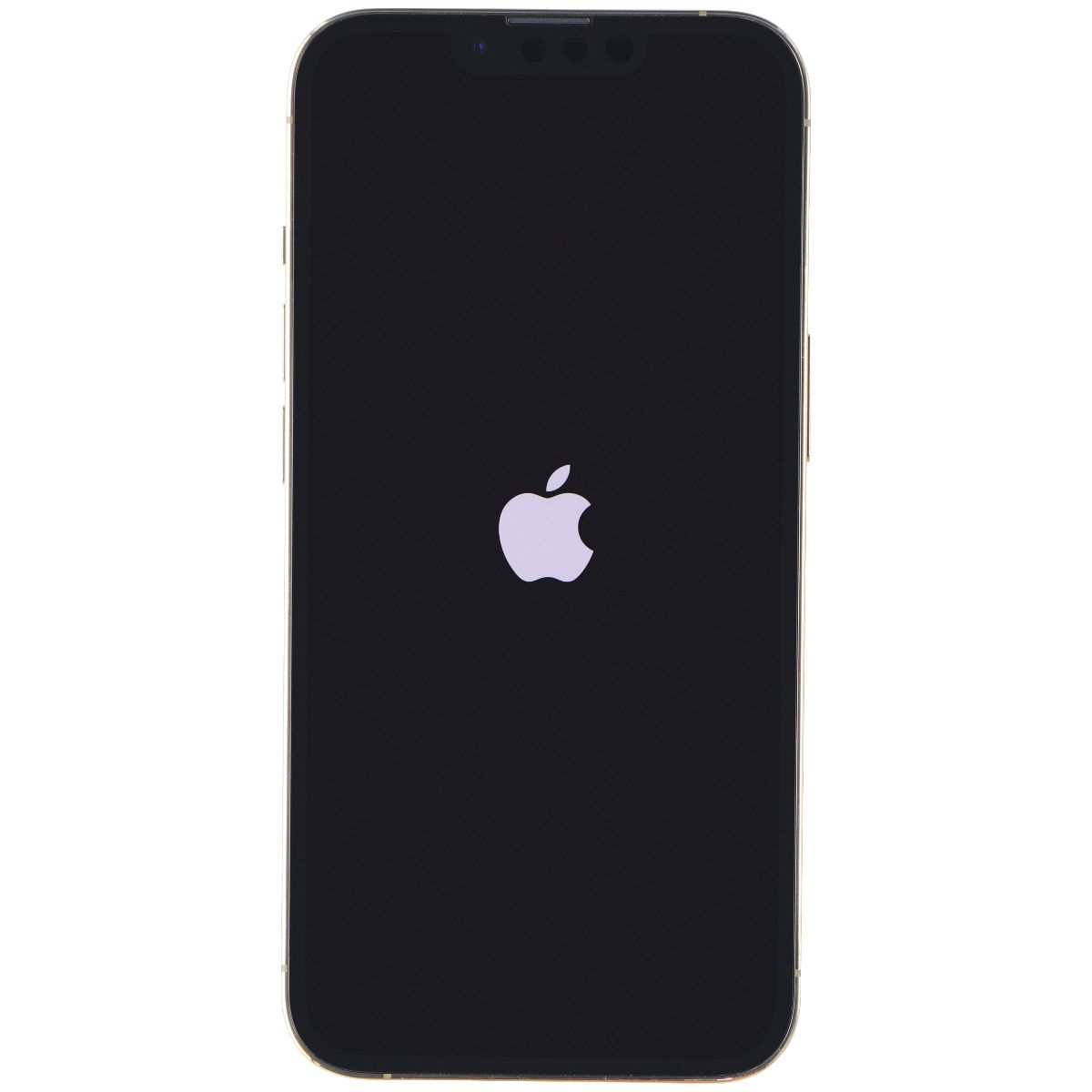 iPhone 13 Pro (A2483) - Standart 3